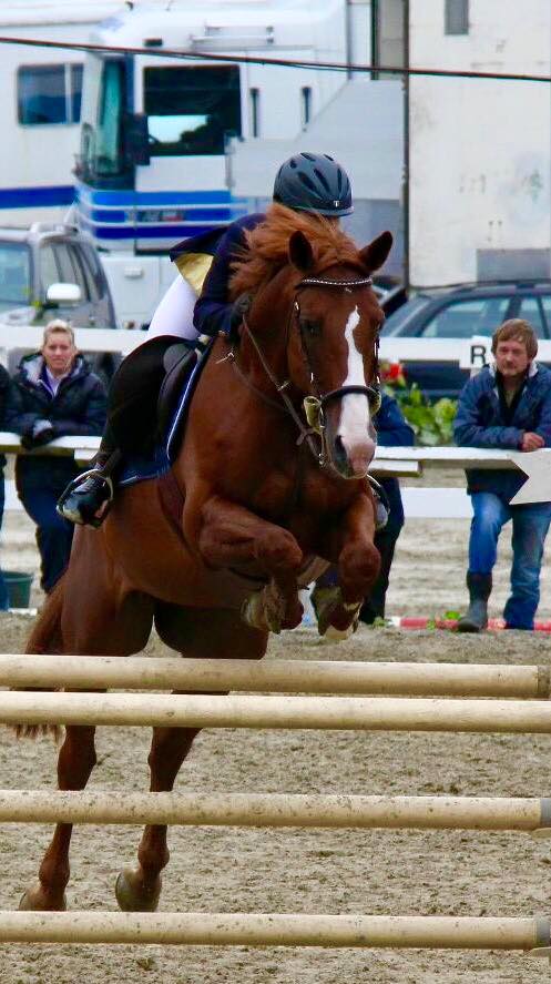 Linn Sletthaug - Showjumping Rider